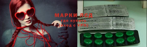 сатива Гусь-Хрустальный