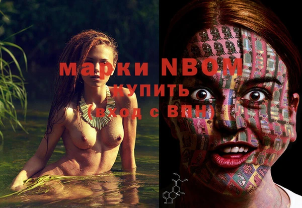 дмт Магас