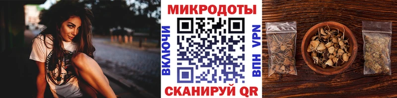 Галлюциногенные грибы GOLDEN TEACHER  даркнет сайт  Елабуга 