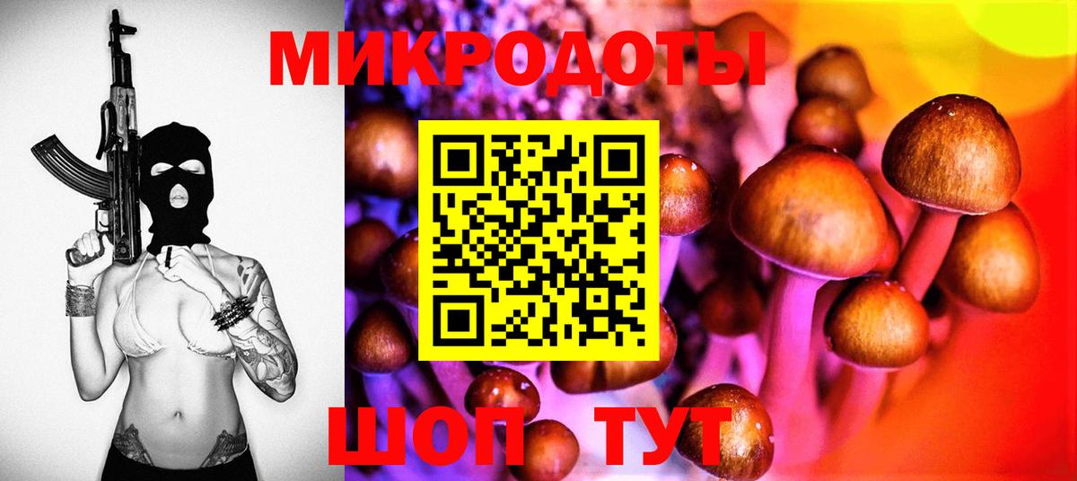 Елабуга  Псилоцибиновые грибы GOLDEN TEACHER  Вход с VPN  Псилоцибиновые грибы MAGIC MUSHROOMS 